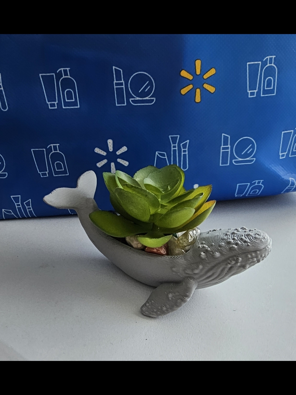 Gray Whale Faux Succulent Planter - Green Succulent